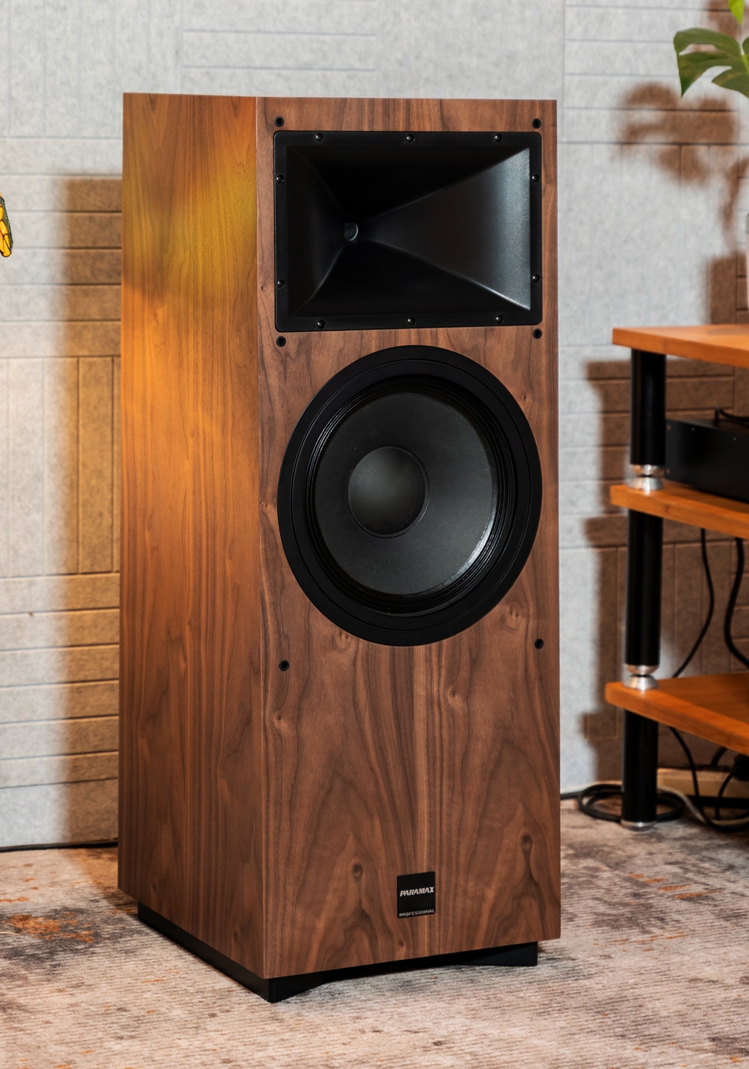 Loa Karaoke Hifi PARAMAX CLASSE 300