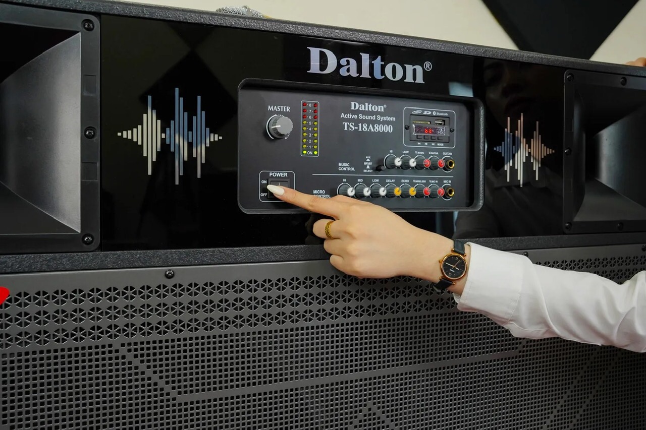 Loa Di Động DALTON TS18A8000