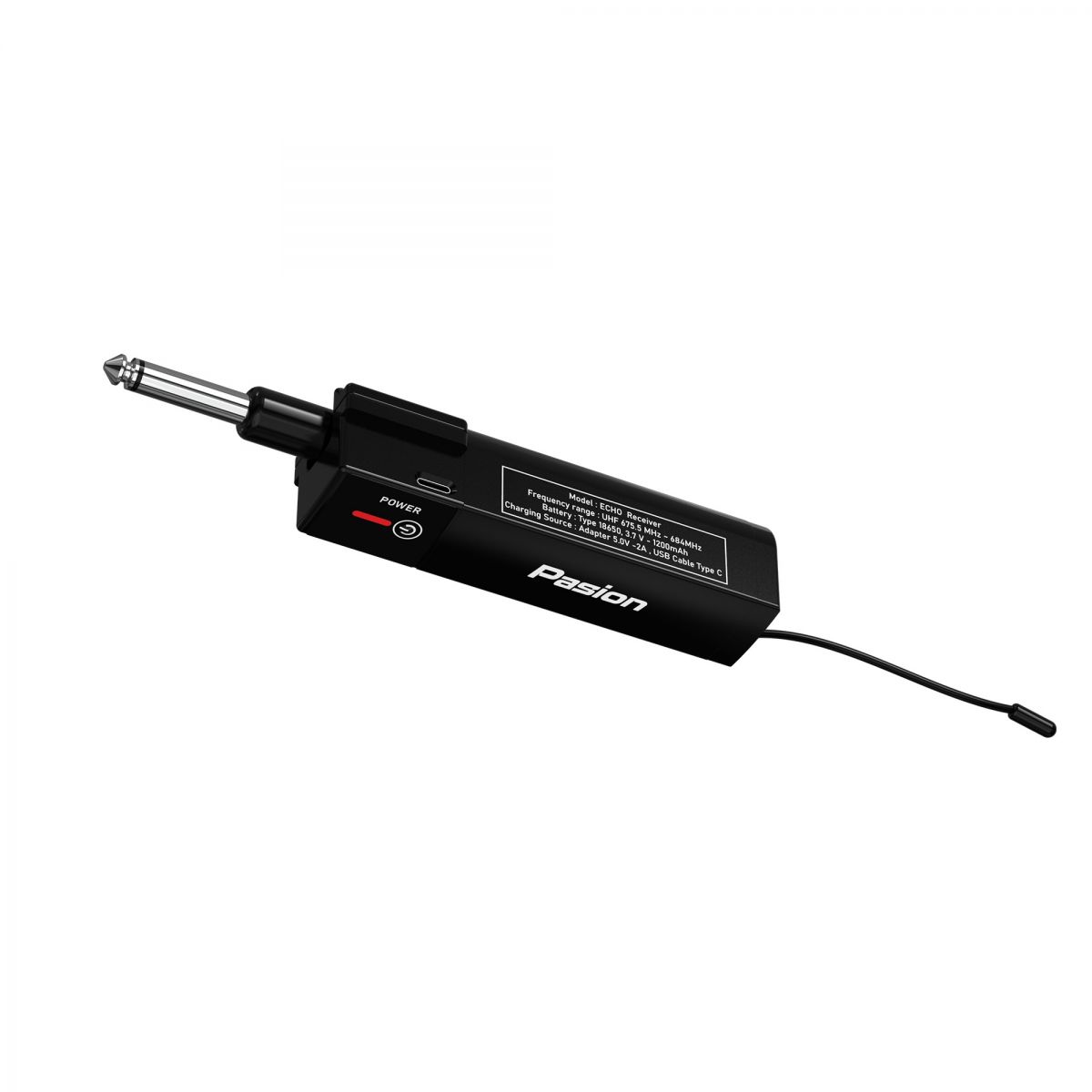 Micro không dây tích hợp PASION ECHO