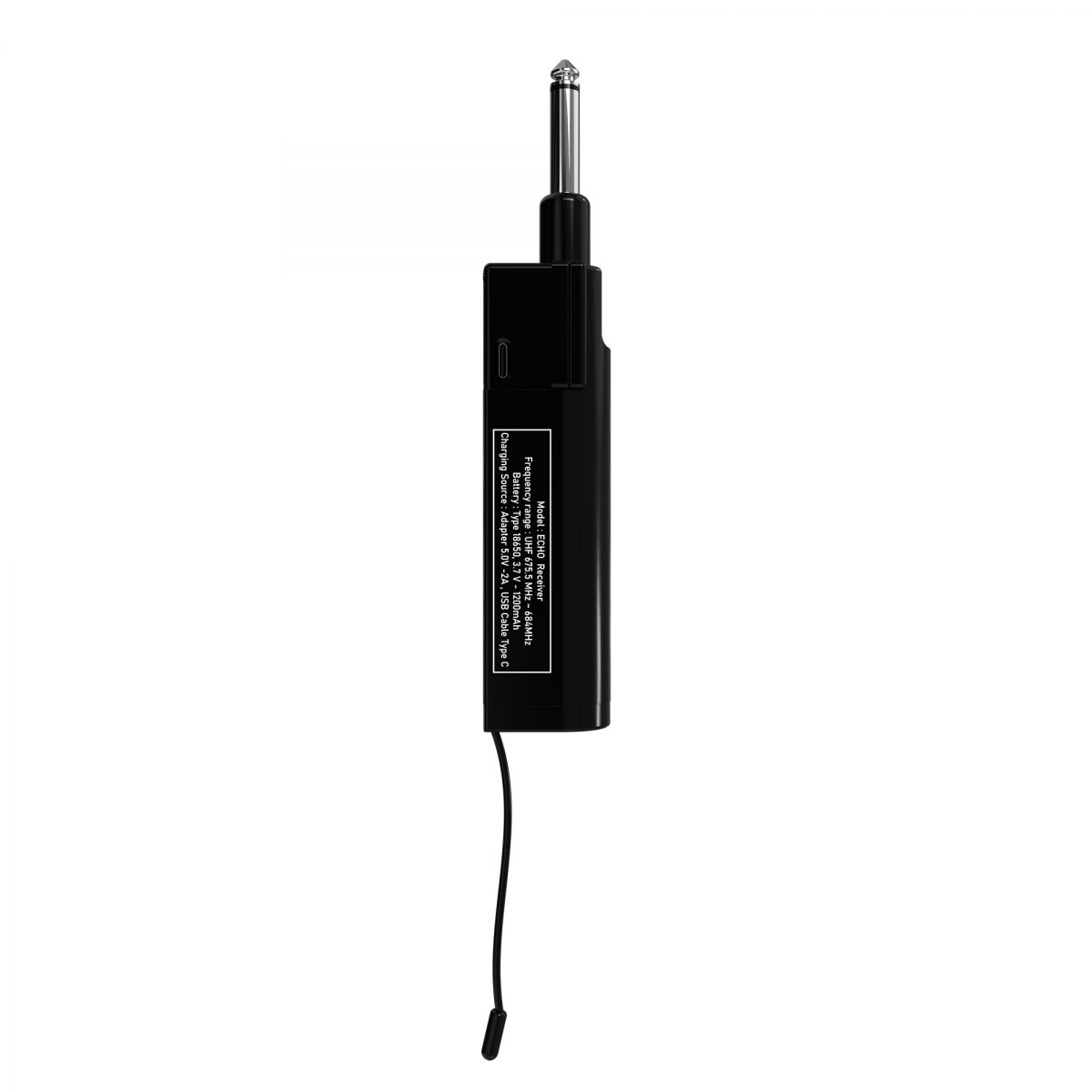 Micro không dây tích hợp PASION ECHO