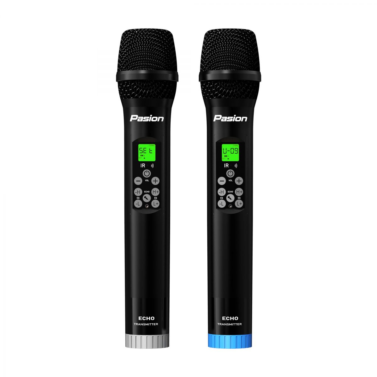 Micro không dây tích hợp PASION ECHO