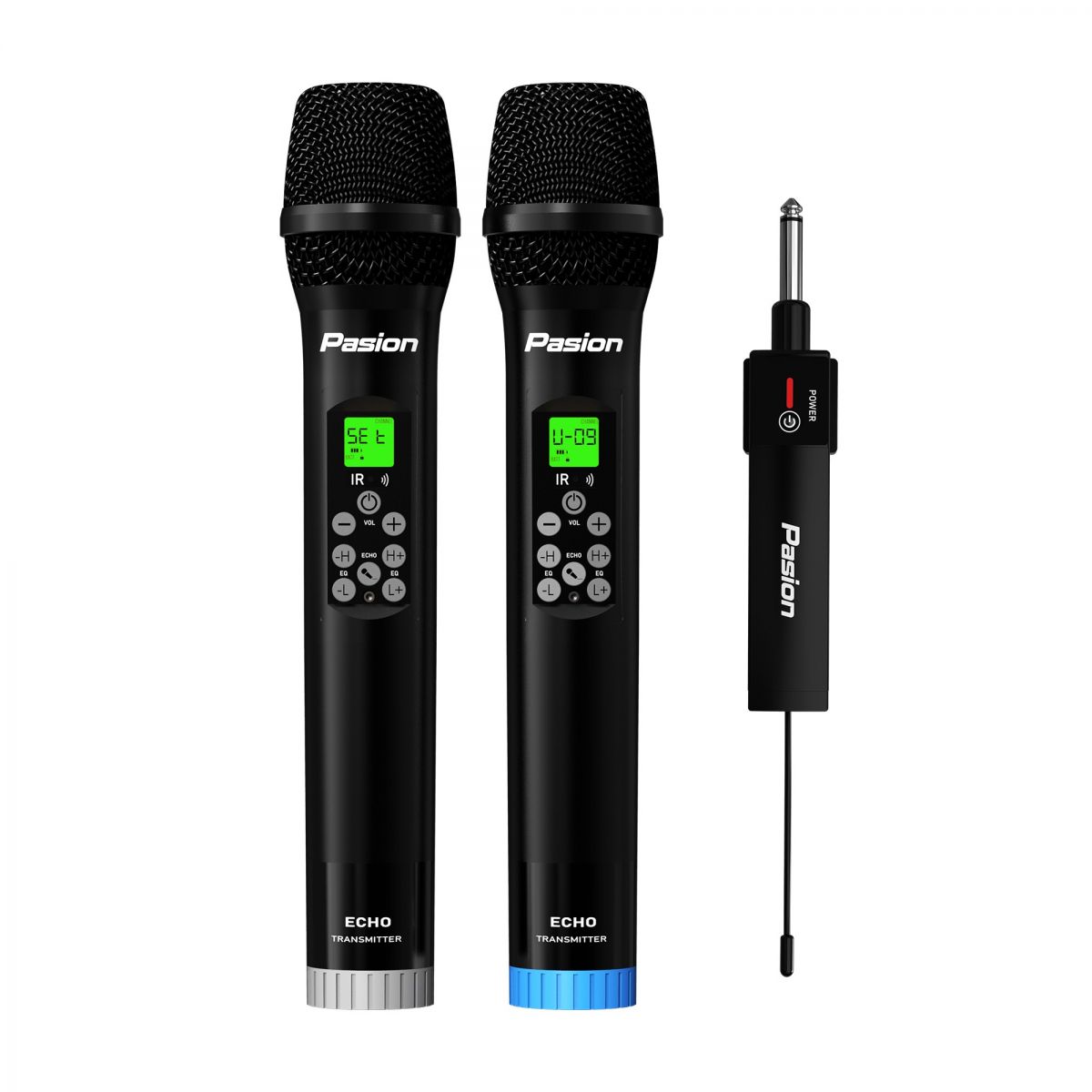 Micro không dây tích hợp PASION ECHO