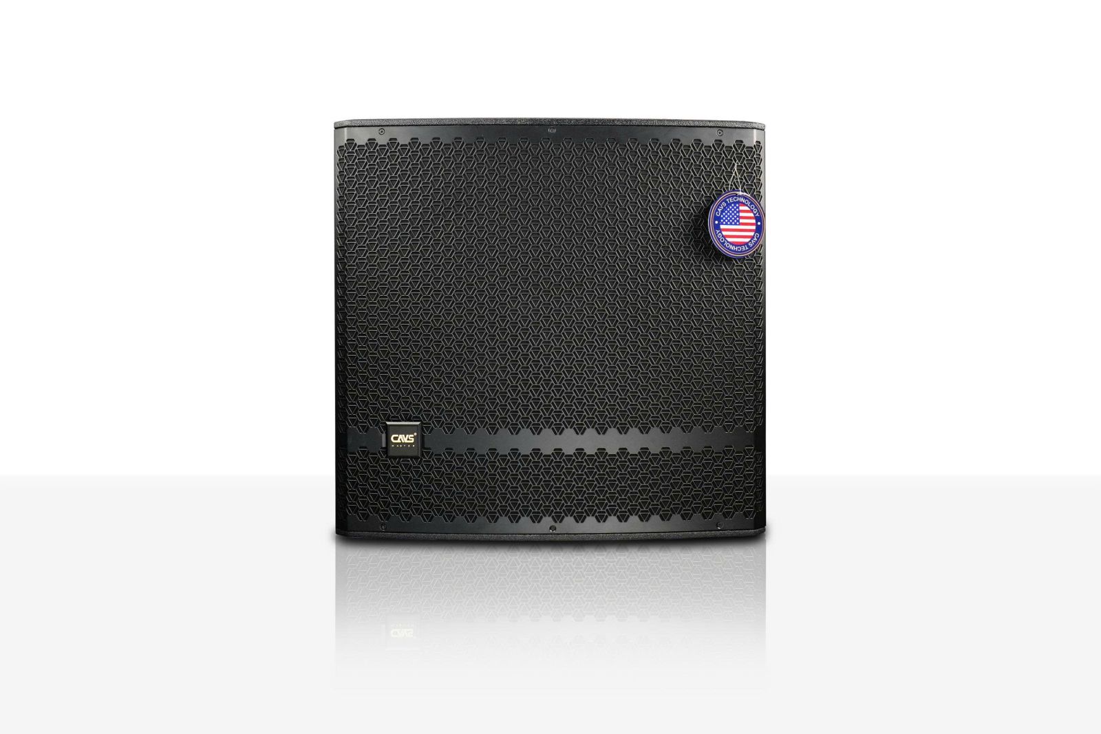 Loa Sub CAVS ZX118
