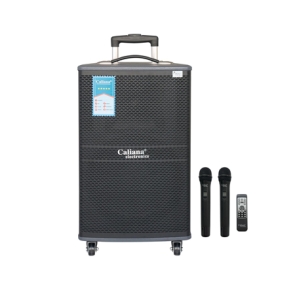 LOA KÉO DI ĐỘNG CALIANA WD-12A LOA KÉO DI ĐỘNG CALIANA WD-12A