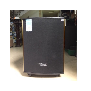 LOA KÉO DI ĐỘNG CALIANA WD15B LOA KÉO DI ĐỘNG CALIANA WD15B