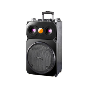 LOA KÉO DI ĐỘNG CALIANA WD-15 LOA KÉO DI ĐỘNG CALIANA WD-15