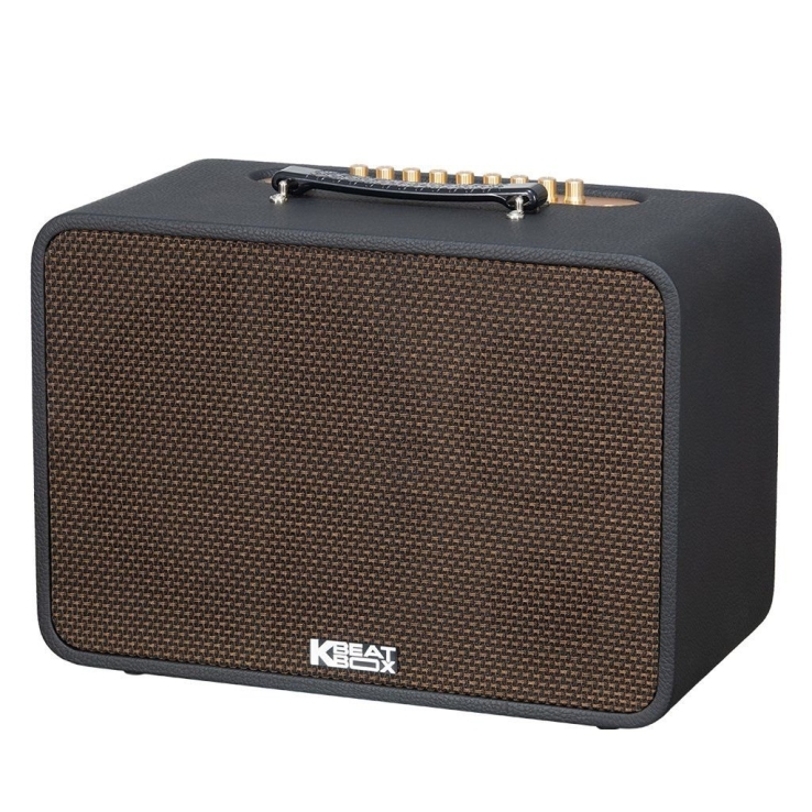 Loa Di Động ACNOS(KBEABOX) CS250Pro
