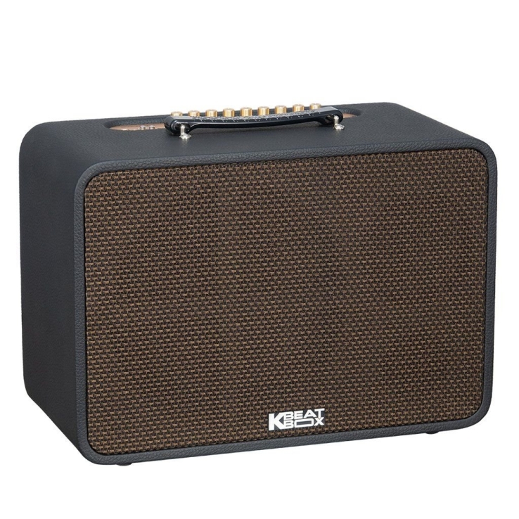 Loa Di Động ACNOS(KBEABOX) CS250Pro