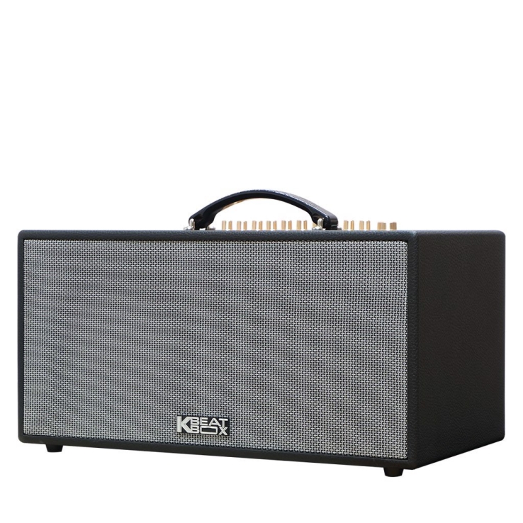 Loa Karaoke Di Động ACNOS CS450Neo