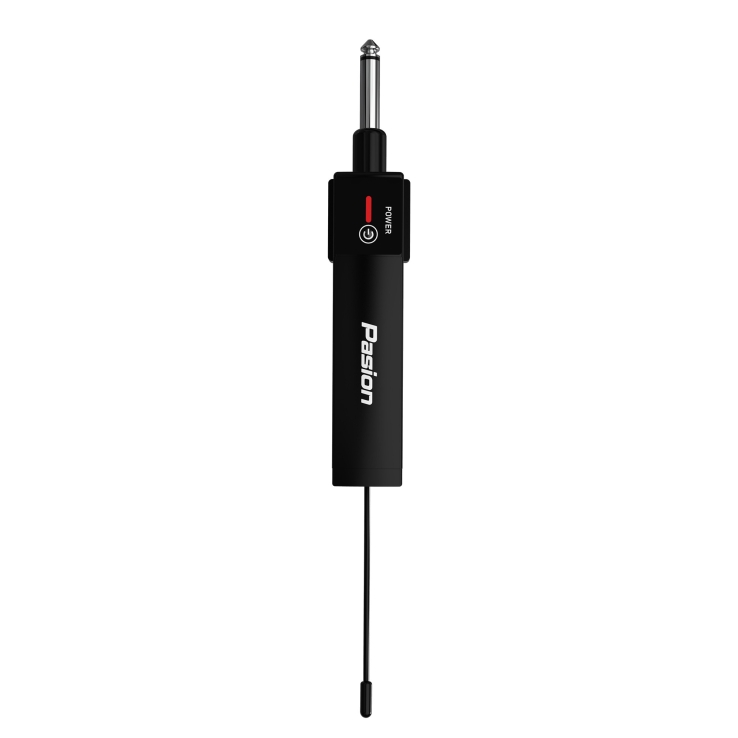 Micro không dây tích hợp PASION ECHO