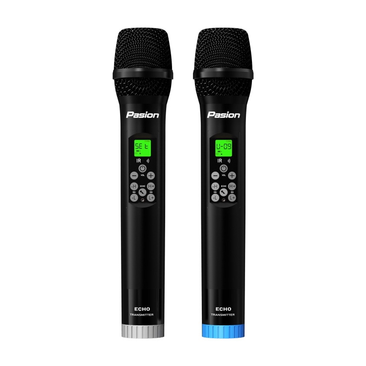 Micro không dây tích hợp PASION ECHO