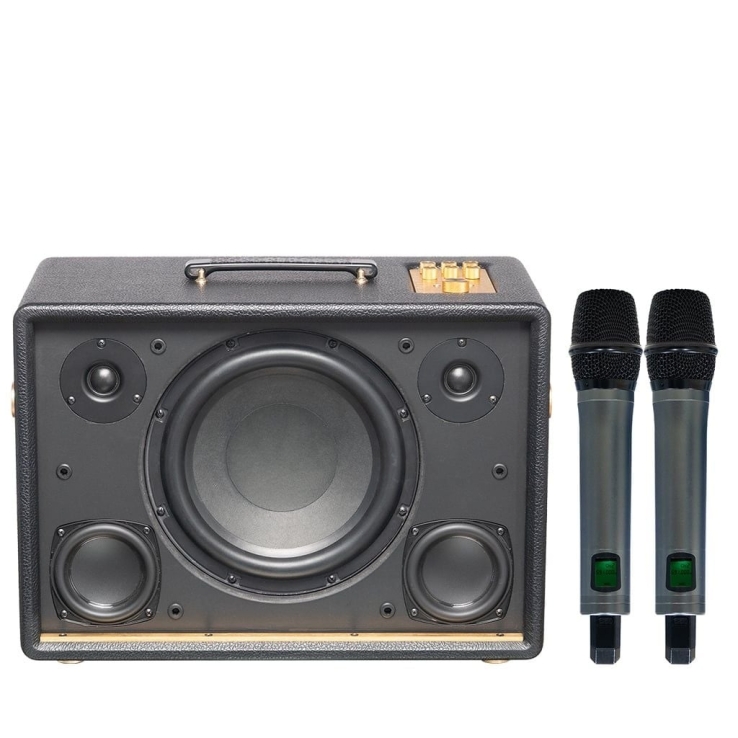 Loa Di Động Acnos D