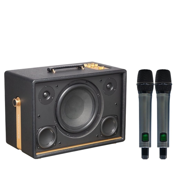 Loa Di Động Acnos D