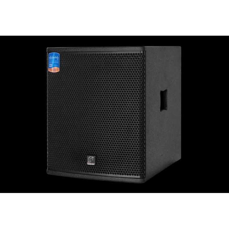 Loa Siêu Trầm CAF DX15SA