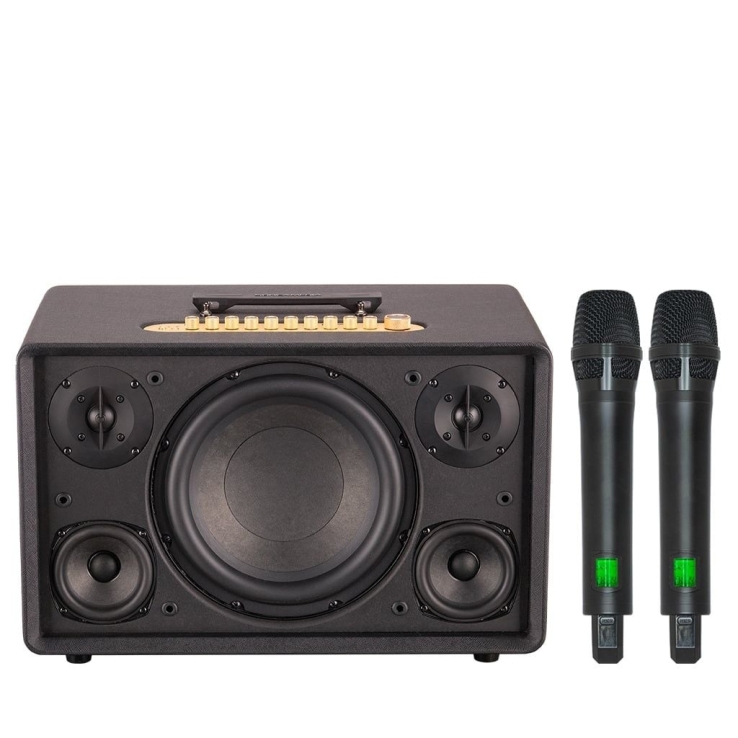 Loa Di Động Acnos FLAC 36 ULTIMATE