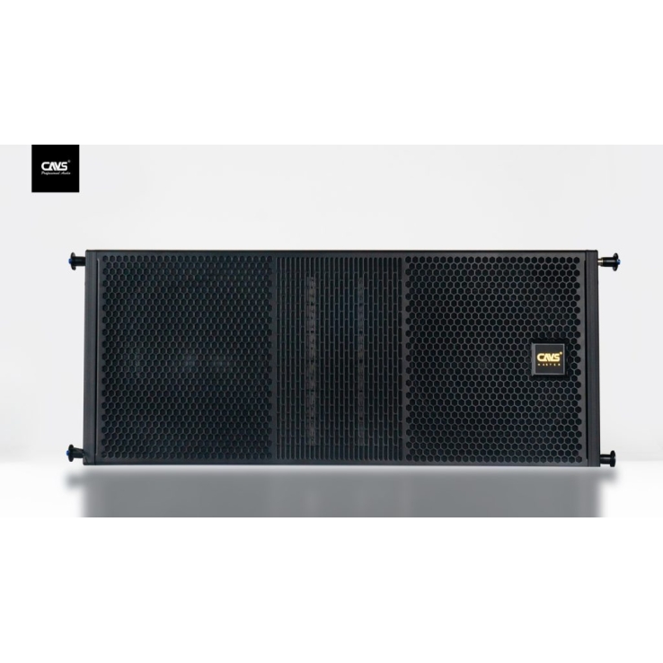 Loa Line Array CAVS MLD10