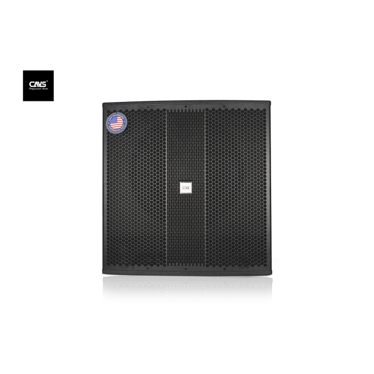 Loa Sub CAVS ZX118