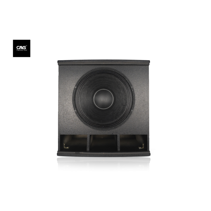 Loa Sub CAVS ZX118