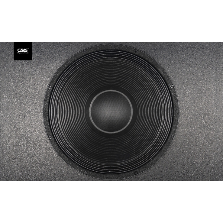 Loa Sub CAVS ZX118