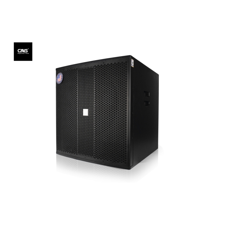 Loa Sub CAVS ZX118
