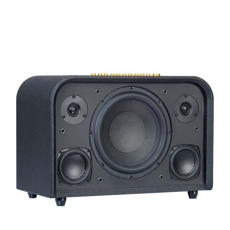 Loa ACNOS ACOUSTIC 3