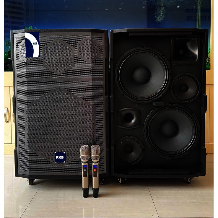 Loa Di Động RKB WD212