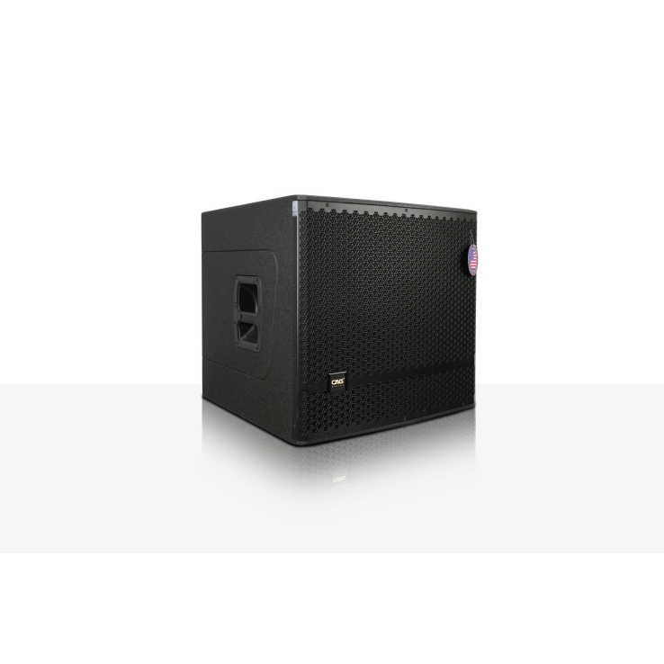 Loa Sub CAVS ZX118