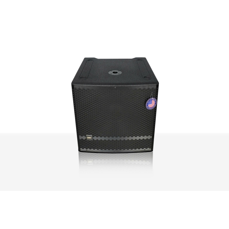 Loa Sub CAVS ZX118