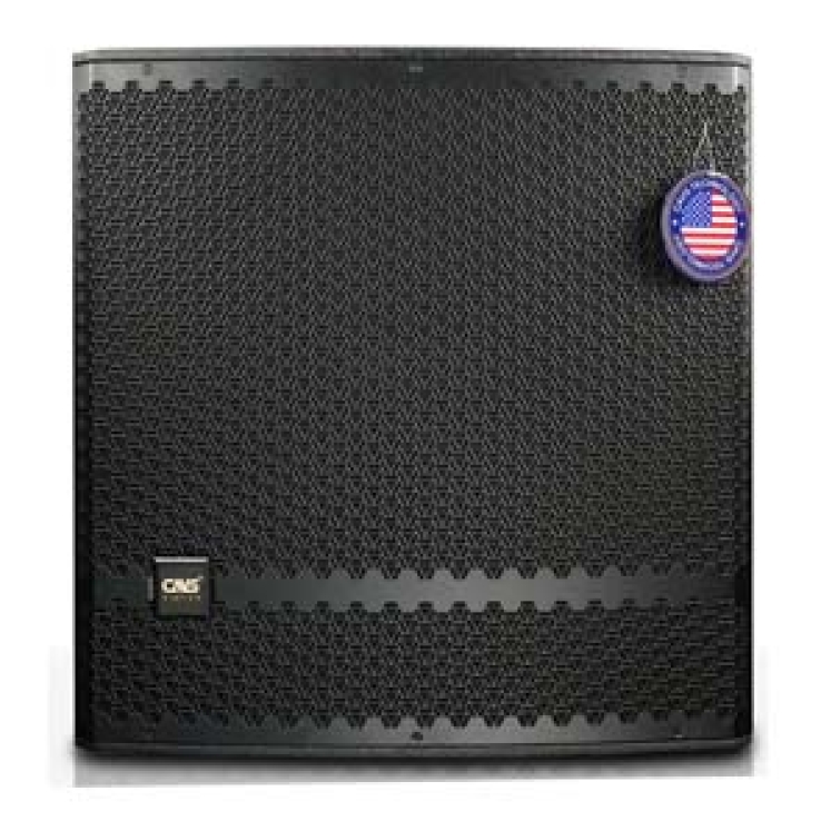 Loa Sub CAVS ZX118